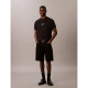 Calvin Klein Ανδρική κοντομάνικη μπλούζα Logo Graphic Relaxed T-Shirt